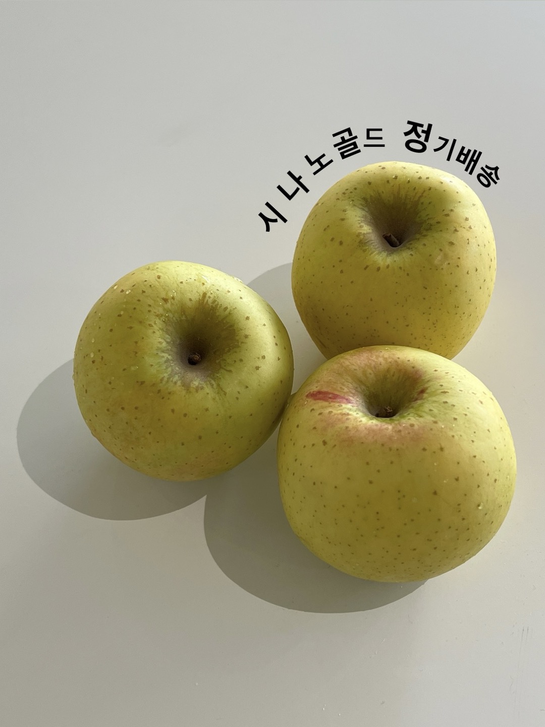 시나노골드 사과(정기 배송)